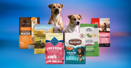 Embrace a Holistic Approach to Pet Nutrition with Natural Dog Food